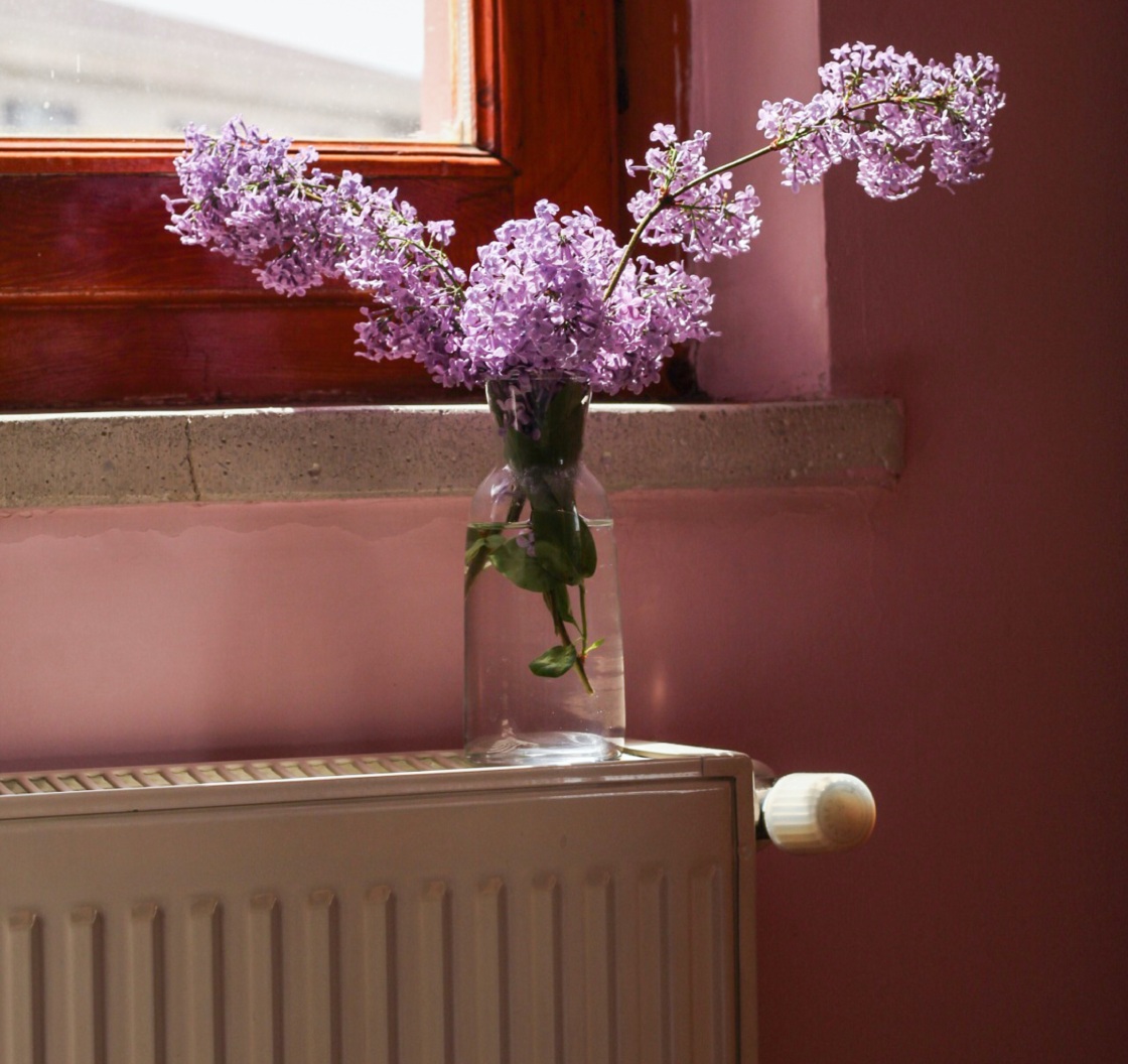 Cosy central heating radiator